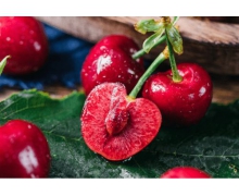 櫻桃是先開(kāi)花后長(zhǎng)葉的植物 螞蟻新村12月12日答案