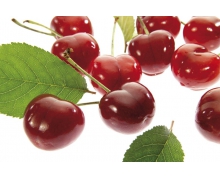 櫻桃是先開(kāi)花還是先長(zhǎng)葉 螞蟻新村櫻桃12月12日答