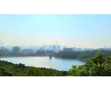 西部第一座核電站在哪個村螞蟻新村 螞蟻新村西