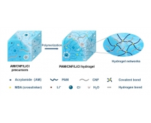 豐田旗下零部件廠商開發(fā)植物纖維材料 網(wǎng)友：甘