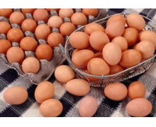 雞蛋不能和什么一起存放螞蟻莊園 新鮮的雞蛋能