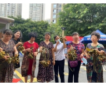 端午以赤白彩造如囊這句話描繪的是什么 新村小