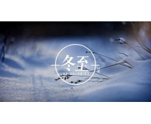 下列哪個是冬至的別稱 螞蟻莊園今日答案早知道