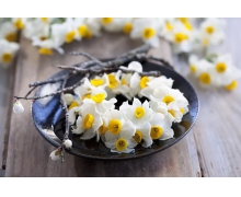 冬至的別稱是亞歲還是交冬 螞蟻莊園12月21日冬至