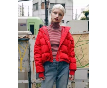 羽絨服不僅輕便相對棉布等材質來說也較為保暖