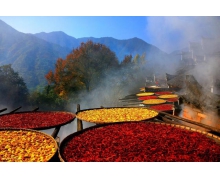 曬秋放風(fēng)箏哪個是婺源縣篁嶺人的秋收習(xí)俗 螞蟻