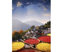 婺源篁嶺曬秋是秋收習(xí)俗嗎 螞蟻新村曬秋放風(fēng)箏