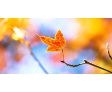 稱有專門安全賬戶的公安機(jī)關(guān)是詐騙嗎 自稱公安