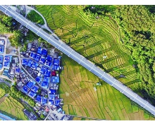 防控有方法建設兩不誤