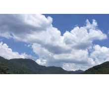 孤帆遠影碧空盡描寫的是什么樓 螞蟻莊園孤帆遠