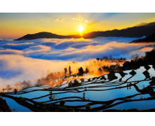 紅河哈尼梯田重點(diǎn)村落是哪個(gè) 螞蟻新村今日答案