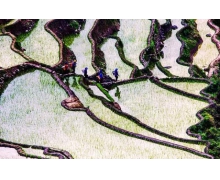 紅河哈尼梯田世界遺產重點村落 螞蟻新村紅河哈