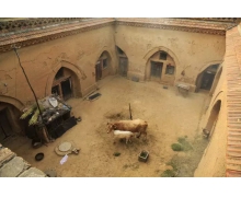 地坑院主要分布于哪里 螞蟻新村今日答案最新