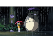 萌寵陪你過年貓的眼睛在夜里閃閃發(fā)光主要因為