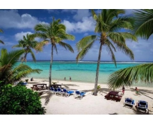 關于湯加王國的幾十個冷知識,您知道幾個?