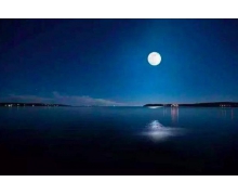 李白的哪句詩描寫的是溫泉螞蟻莊園 沸珠躍明月