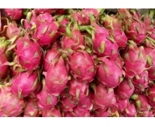 甜度越高的水果熱量越高嗎 螞蟻莊園1月24日水果