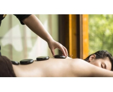 南湖秋水夜無煙描寫的是溫泉嗎 螞蟻莊園1.23答案