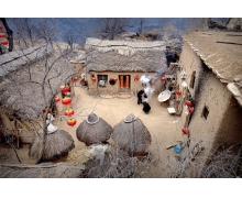 一年農(nóng)業(yè)之始是哪個節(jié)氣 螞蟻新村一年農(nóng)業(yè)之始