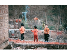 北京2022年冬奧會頒獎用的花螞蟻莊園 是絨線花還