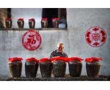 一年農(nóng)業(yè)之始是立春還是芒種 螞蟻新村農(nóng)業(yè)之始