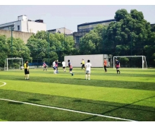 足球球員上場時必須穿戴的裝備是什么 螞蟻莊園