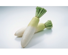 初九咬春是指什么 螞蟻新村2.9北方地區初九咬春