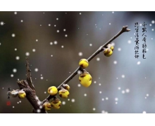 北京冬奧會(huì)上獲獎(jiǎng)運(yùn)動(dòng)員螞蟻莊園 金色冰墩墩裝