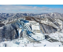 短道速滑運動員轉彎時，為什么會用手摸地 螞蟻