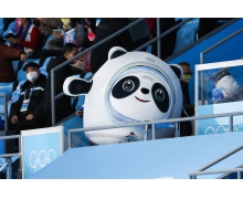 虛擬IP造就爆款生意 頂流冰墩墩的挑戰