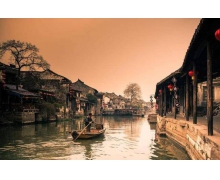 世界社會公正日螞蟻新村2.20 世界社會公正日是每