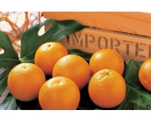 吃橘子皮膚變黃是過敏嗎 螞蟻莊園皮膚變黃