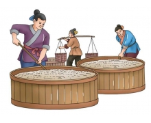 綠蟻新酷酒中綠蟻是—種綠色的酒曲嗎 螞蟻莊園