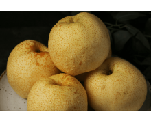 基地重點縣是陽信縣還是陽朔縣 中國優質鴨梨螞