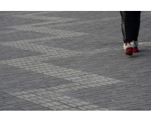 螞蟻莊園2月24日：盲道上的不同磚面主要是用來