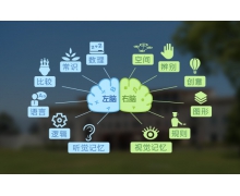 小朋友習(xí)慣用左手寫字螞蟻莊園 左手寫字有必要