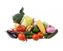 對眼睛有益的是維生素A還是葉綠素 螞蟻莊園2.