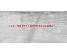 牛奶芝士哪種食物曾經(jīng)被用來(lái)制作滑冰場(chǎng)的冰面