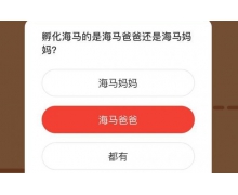 孵化海馬的是海馬爸爸還是海馬媽媽 3.12螞蟻莊園