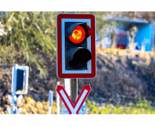 螞蟻莊園3月16日行車過(guò)程中 只要是綠燈車輛就可