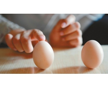 俗語說“春分到,蛋兒俏”指的是春分時,我國