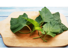 俗話說春分到蛋兒俏 指的是春分時螞蟻莊園答案