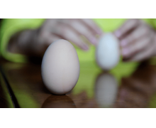 春分當日流傳了哪個頗有意味的習俗 螞蟻新村