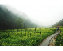 螞蟻新村3月20日答案最新 春分當日流傳了頗有意