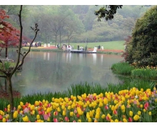 春分當日流行 螞蟻新村春分習俗答案