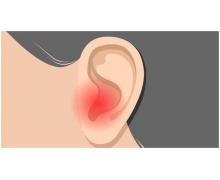 耳朵除了聽覺功能，還可以感知到 螞蟻莊園今日