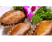 小雞考考你:鮑魚是魚類嗎 螞蟻莊園今日答案早知