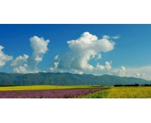 昭蘇縣螞蟻新村 新疆昭蘇縣被譽為中國天馬之鄉