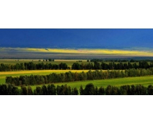 新疆昭蘇縣被譽為中國天馬之鄉正確還是錯誤 螞