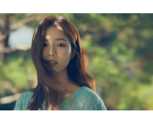 在花瓶中加入什么,可以延長鮮花的花期 螞蟻莊